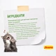 Сухой корм Josera Cat Kitten grainfree для котят, беременных и кормящих кошек 2 (кг) - изображение 3
