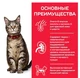 Сухий корм Hill`s SP Fel Adult для дорослих котів з куркою 1.5 (кг) - зображення 2