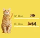Сухой корм Friskies для взрослых кошек с лососем и овощами 1.5 (кг) - изображение 2