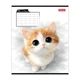 Зошит учнівський Little cat 1B 768736 12 аркушів Різнокольоровий shop (4823133108933) - изображение 3
