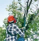 Високоріз бензиновий MAKITA (EY2650H25H) - изображение 2