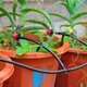 Система полива сада 10м, BD 182 - изображение 7