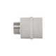 Муфта PPR Thermo Alliance 32х3/4" ЗР - зображення 4