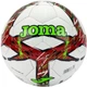 Футбольный мяч Joma Daliii 5 Комбінований 401412.206.5 - изображение 1