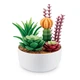 Набор-сюрприз Zuru Mini Brands Botanical Garden, 77559GQ1 - изображение 4