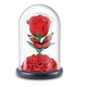 Набор-сюрприз Zuru Mini Brands Botanical Garden, 77559GQ1 - изображение 7