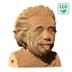 3D Пазл Cartonic Albert Einstein 172 ел, CARTMALB - зображення 4