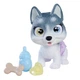 Игровой набор Simba Pamper Pets Husky, 5950135 - изображение 1
