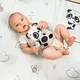 Подвеска с прорезывателем Tiny Love Панда, 1118600458 - изображение 2