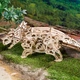 Механический 3D пазл Ukrainian Gears Трицератопс 400 эл, 70211 - изображение 14