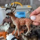 Набор реалистичных фигурок Дикие (15 шт) Животные Mideer Toys MD1382 - изображение 5