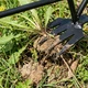 Двусторонняя зубчатая сапа для сада и огорода RackePlants, 41 см - изображение 5