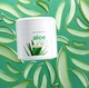 Sanct Bernhard ALOE VERA cream 100 мл крем для лица Алое Вера бережный уход и увлажнение - изображение 2