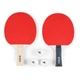 Комплект для настільного тенісу Butterfly Racket Set Easy 2 Bats 3 Balls (6257623202) (932197) Butterfly 932197 1070789 - зображення 2