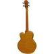 Электроакустическая бас-гитара Aria FEB-F2M/FL STBR (33743) - изображение 3