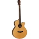 Электроакустическая гитара Tanglewood TJ4CE (40419) - изображение 1