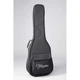 12-струнная электроакустическая гитара Takamine GD38CE BLK (32756) - изображение 2