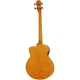 Электроакустическая бас-гитара Aria FEB-F2M STBR (33742) - изображение 3