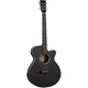 Электроакустическая гитара Tanglewood TWBB SF CE (38686) - изображение 1