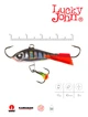 Балансир Lucky John BALTIC 10г 40мм морозостойкий пластик 12HRT - изображение 2