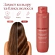 Шампунь для окрашенных волос с сохранением цвета BRAÉ Stages Color Protect Shampoo 250 мл - изображение 2