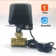 Умный Wi-Fi кран для воды 1″ DN25 с электроприводом, управление Tuya Smart / Smart Life, Черный - изображение 1