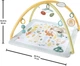 Ігровий килимок для новонароджених Фішер прайс Розвиваємо почуття Fisher-Price Baby Playmat Simply Senses Newborn Gym (HRB15) - изображение 3