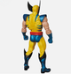 Коллекционная экшн-фигура Wolverine (Росомаха) Marvel: X-Men - изображение 5