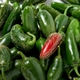 Насіння Перець гострий Jalapeño M, Capsicum annuum 5 шт/уп - зображення 1