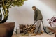 Пилосос господарський Karcher WD3 (1.628-130.0) - зображення 6