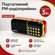 Портативный FM-радиоприемник колонка с цифровым тюнером BKK USB/MP3 B851 - изображение 1