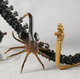 Фигурка Alien Romulus Scorched Xenomorph 25 см — Коллекционная игрушка-монстр Чужой Ромул в подарочной упаковке - изображение 6