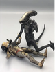 Колекційний набір Alien vs Predator / Чужий проти Хижака — фігурки Xenomorph та Predator з аксесуарами, AVP action figures set - зображення 6
