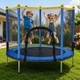 Батут детский Fitonix SafeJump 140 см синий с защитной сеткой и 6 ножками - изображение 2