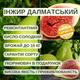 Инжир Далматский (Dalmatian) - ремонтантный, крупноплодный, самоплодный - изображение 5