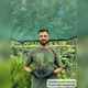 Саженцы Лаванды узколистной Хидкот (Lavandula angustifolia Hidcote) Р9 - изображение 4