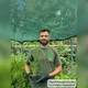 Саджанці Пеннісетума лисохвостовидного Ред Хет (Pennisetum alopecuroides Red Head) Р9 - зображення 3