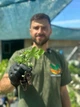 Саджанці суниці (розсада) Регіна - дуже рання, крупноплідна, врожайна - зображення 4