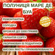 Саджанці полуниці (розсада) Маре де Буа (Mara des Bois) - ремонтантна, урожайна, солодка (в касеті) - зображення 4