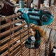 Дріт в'язальний Makita (199137-9) для DTR180 (50 шт.) - зображення 8