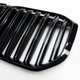 Решітка радіатора BMW X7 G07 2019-2022 у стилі М чорні ніздрі БМВ TechPro (LMBMGRX701) - зображення 2