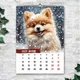 Календарь настенный перекидной ШПИЦ СОБАКА АКВАРЕЛЬ 13 ЛИСТОВ ENTERSTORE 42х29.7 см (ART 250154) - изображение 3