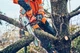 Акумуляторна ланцюгова пила Husqvarna T542iXP без акб та з/п (9706468-14) - зображення 4