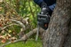 Акумуляторна ланцюгова пила Husqvarna Aspire C15X-P4A KIT акб 4 Ah (9707205-04) - зображення 3