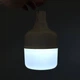 Лампа для кемпінгу BDG-30W 1500mAh Акумуляторна LED-лампа до 6-8 год роботи, швидка зарядка MicroUSB з гачком для походів та відпочинку Білий - зображення 6
