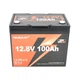 Аккумуляторная батарея YEAGULCH Mini LiFePO4 12,8V 100Ah 1280Wh, BMS-100A, (246x187x197), M8, 12.9kg - изображение 2