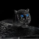Автомобильная накладка на кнопку запуска двигателя «Старт-стоп», черная, Tiger, размер — 4 × 5 см, вес — 26 г - изображение 6