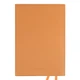Деловой блокнот мягкий А5 Leo Planner Amber 252771 320 листов терракотовый - изображение 9