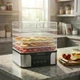 Электросушилка Silver Love RB-912 1000 Вт 5 уровней с таймером Высота поддона 4 см - изображение 4