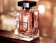 Тестер Парфюмированная вода для женщин Dolce&Gabbana The Only One 100 мл - изображение 3